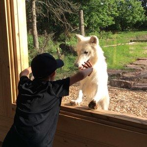 Meet your Posher, Bonnie